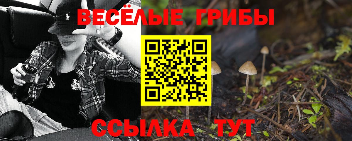 Галлюциногенные грибы MAGIC MUSHROOMS Кызыл
