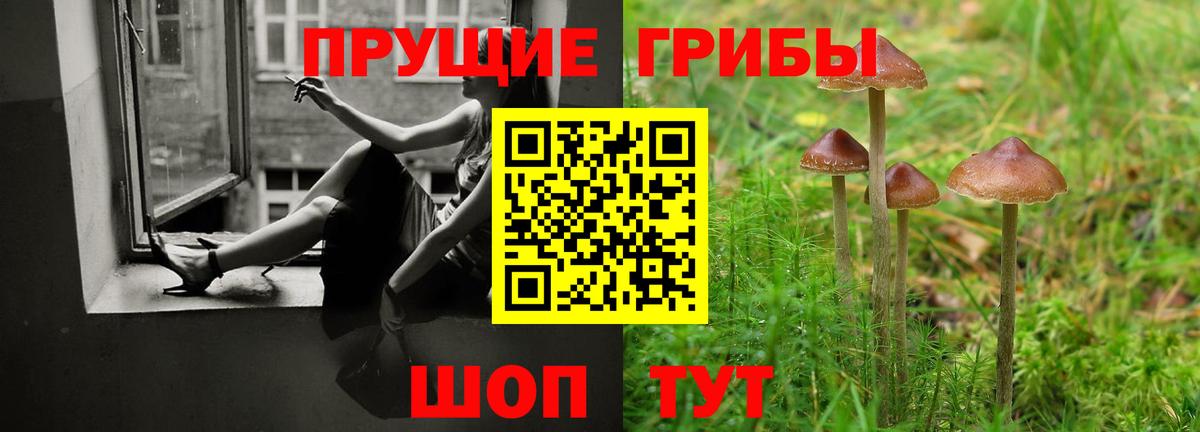 где продают наркотики  Вход с VPN  Кызыл  Галлюциногенные грибы прущие грибы 